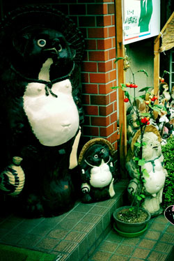 tanuki
