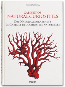 cover_ju_25_seba_curiosities_1107131700_id_250489